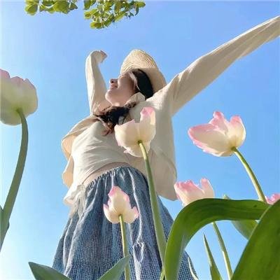 瓢虫少女第五季 封面