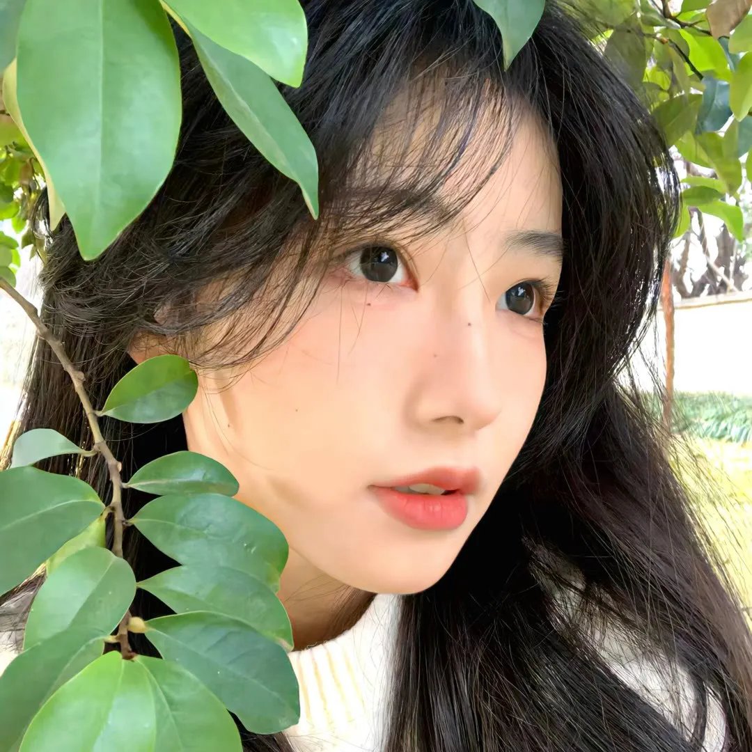 只想告诉你 封面